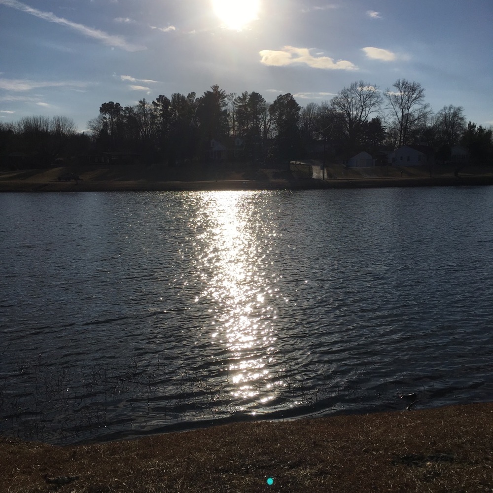 Meet your Posher, Tina